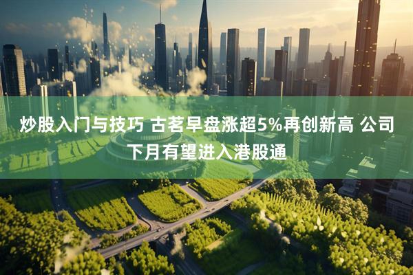 炒股入门与技巧 古茗早盘涨超5%再创新高 公司下月有望进入港股通